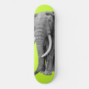 Search for bulls skateboards Wildlife