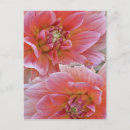 Search for pair postcards Pattern