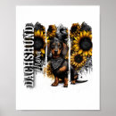 Search for dachshund posters Wolf