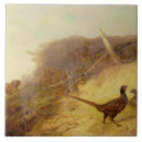 Search for pheasant tiles Hunting