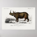 Search for rhinoceros paintings posters Vintage