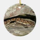 Search for shenandoah national park christmas tree decorations Nature