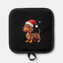 Search for dachshund home living Animal