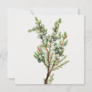 Search for art christmas invitations Greenery