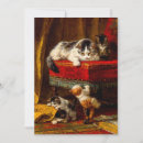 Search for funny cat save the dates Kittens