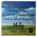 Search for rainbow bridge poem Loss