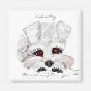 Search for miniature magnets Dog