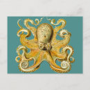 Search for mollusc postcards Animal