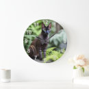 Search for siamese cat clocks Pet