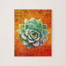 Search for succulent puzzles Watercolor