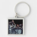 Search for containment key rings Horizontal