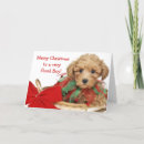 Search for poodle christmas cards Animal