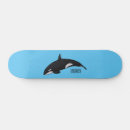 Search for killer whale skateboards Fish