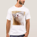 Search for high angle view tshirts Photography