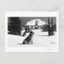 Search for timberline postcards Oregon
