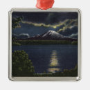 Search for seattle christmas tree decorations Rainier