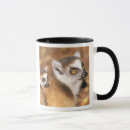 Search for lemurs drinkware Animal