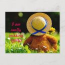 Search for critter postcards Nature