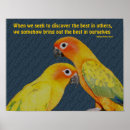 Search for conure photography Animal