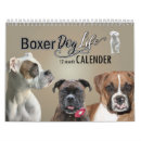Search for dog calendars Boxer dogs