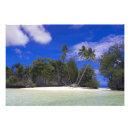 Search for seclude posters Tropical