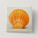 Search for pictures of shells badges Coast