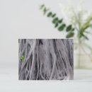 Search for tree trunks postcards Trees