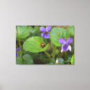 Search for viola canvas prints Flower