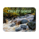 Search for brook magnets Landscape