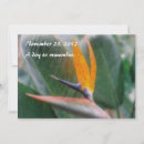Search for paradise invitations Tropical flowers