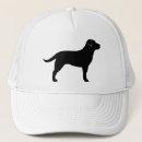 Search for labrador hats Dog