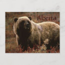 Search for shape note postcards Animal