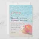 Search for conch shells invitations Beach