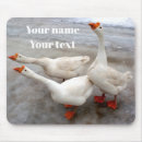 Search for geese mouse mats Animals