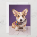 Search for corgi thank you cards Queen elizabeth's