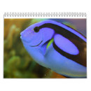 Search for clown office supplies Aquarium