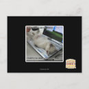 Search for respond postcards I can has cheezburger