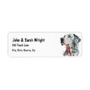 Search for dalmation return address labels Pet