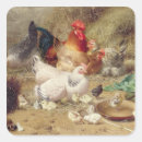 Search for farmyard stickers Poultry