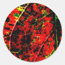 Search for red abstract stickers Bold