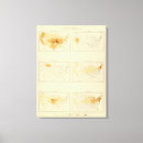 Search for 1890 canvas prints Statistical