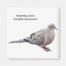 Search for mourning magnets Bird