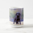 Search for black lab puppy mugs Cute
