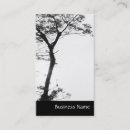 Search for balancer photography Nature