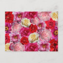 Search for yellow rose postcards Modern