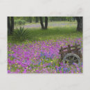 Search for oak postcards Season