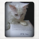 Search for the killing electronics Cat