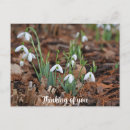 Search for dropping postcards Thinking of you