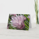 Search for chive photography Flowers