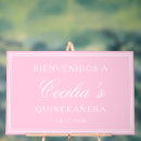 Search for quinceanera welcome signs Pink